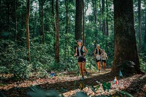 BIB: 
                            <button type="button" onclick="openModal(26130671)" class="btn btn-primary btn-sm float-right btn-popup" data-toggle="modal" data-target=".modal-high-quality">
                        <i class="fas fa-shopping-cart"></i> Add to Cart
                    </button>
                                            <button type="button" onclick="isThisMe(26130671, true)" class="btn btn-success btn-sm float-right btn-popup btn-isme hidden" data-toggle="tooltip" data-placement="bottom" title="นี่คือรูปของคุณใช่ไหม คลิกที่นี่เพื่อเอาเข้าอัลบั้ม">
                        <i class="fas fa-plus"></i> Add to album
                    </button>
                    <button type="button" onclick="isThisMe(26130671, false)" class="btn btn-warning btn-sm float-right btn-popup btn-isnotme hidden">
                        <i class="fas fa-ban"></i> Remove from album
                    </button>